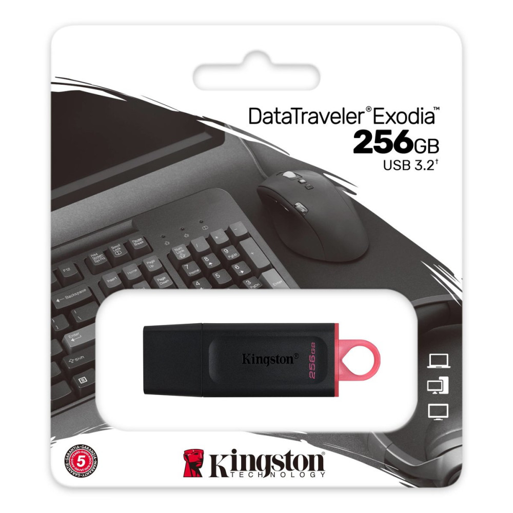 Flash Kingston USB 3.2 DT Exodia 256GB Black/Pink (DTX/256GB)